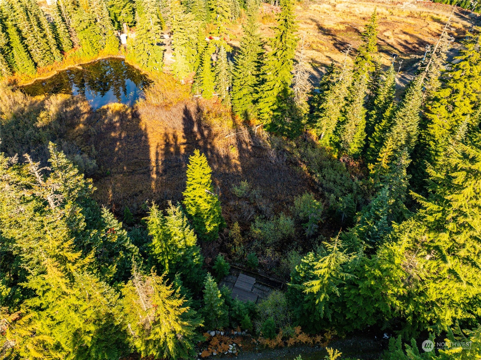 63 Snoqualmie Village Drive