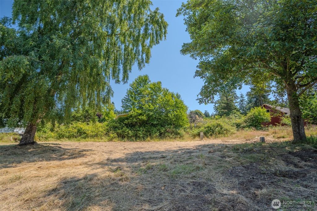 Photo of 118 Alder Street, Orcas Island, WA 98245 (MLS # 2552672)