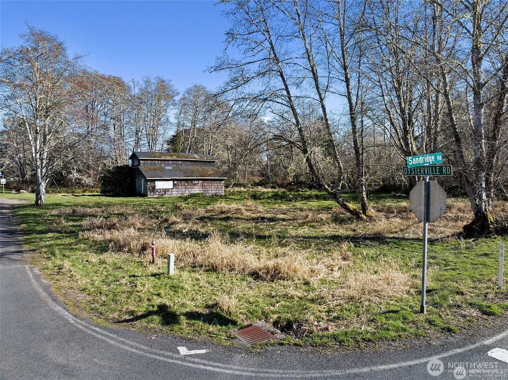 Photo of 3212 Oysterville Road, Oysterville, WA 98641 (MLS # 2470746)