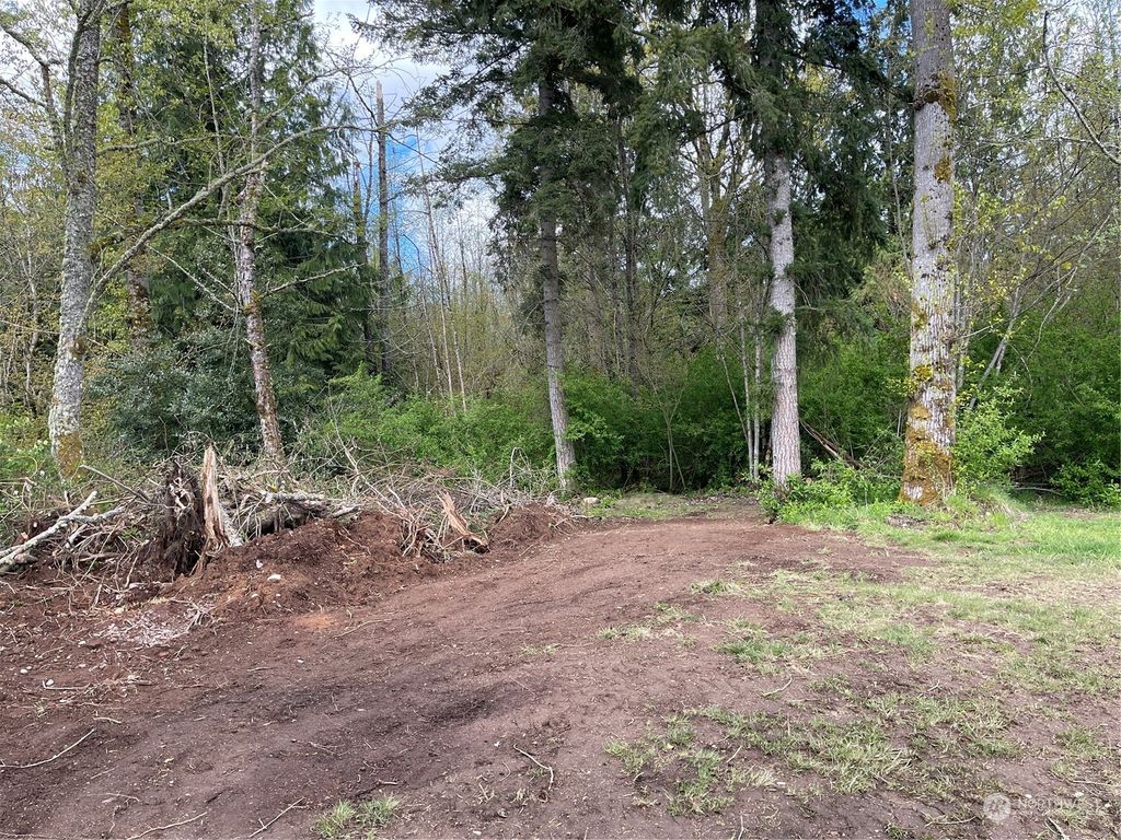 Photo of 2600 163rd Street NW, Lake Goodwin, WA 98292 (MLS # 2059506)