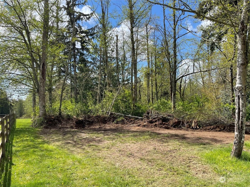 Photo of 2600 163rd Street NW, Lake Goodwin, WA 98292 (MLS # 2059506)