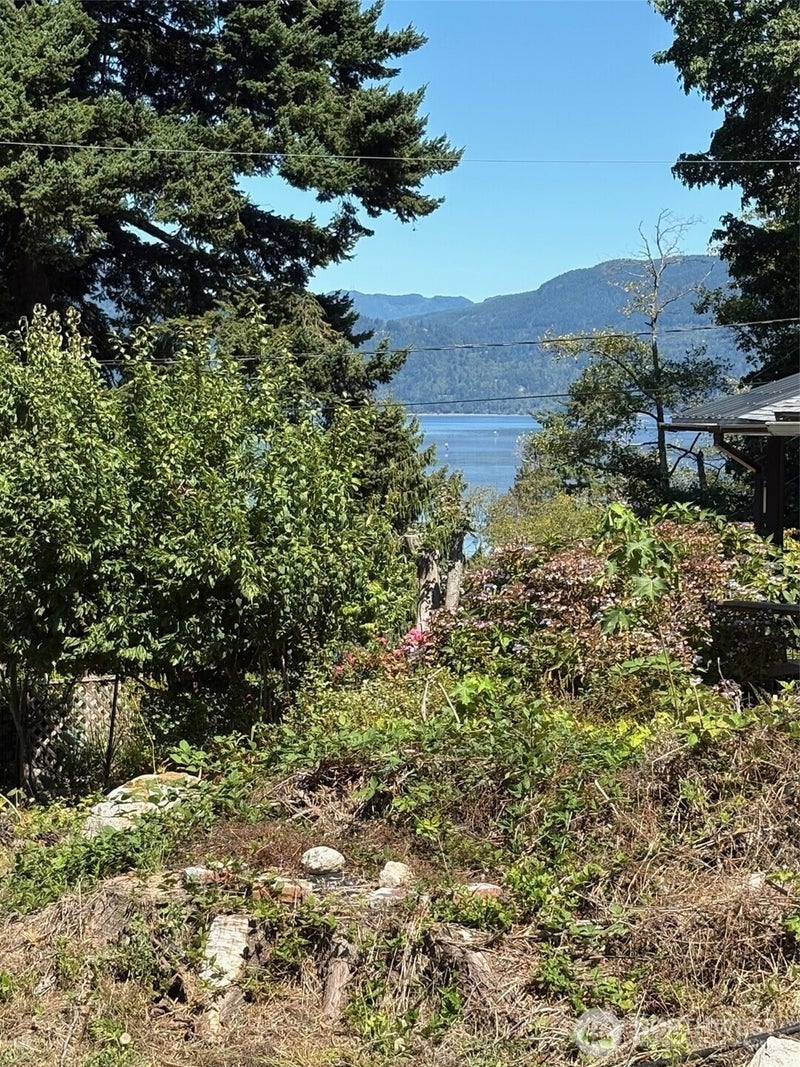 4904 Roney Road