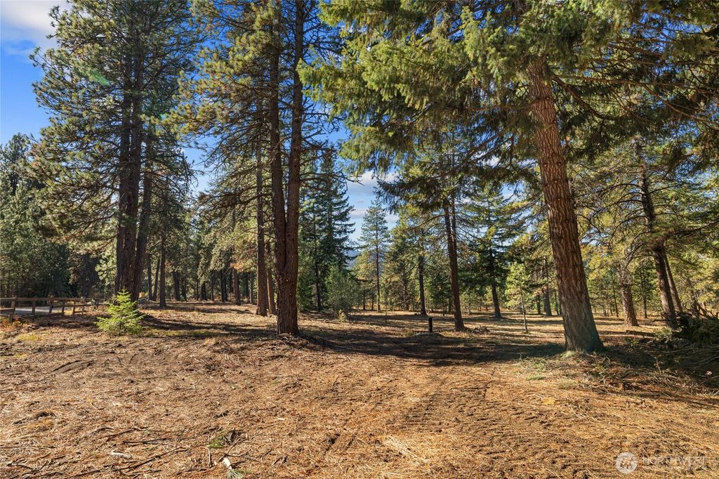 Photo of 101 Book Lane, Cle Elum, WA 98922 (MLS # 2448513)