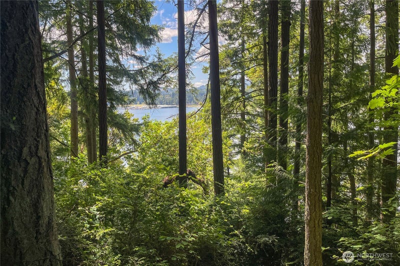 3 NW Sulphur Springs Lot 3