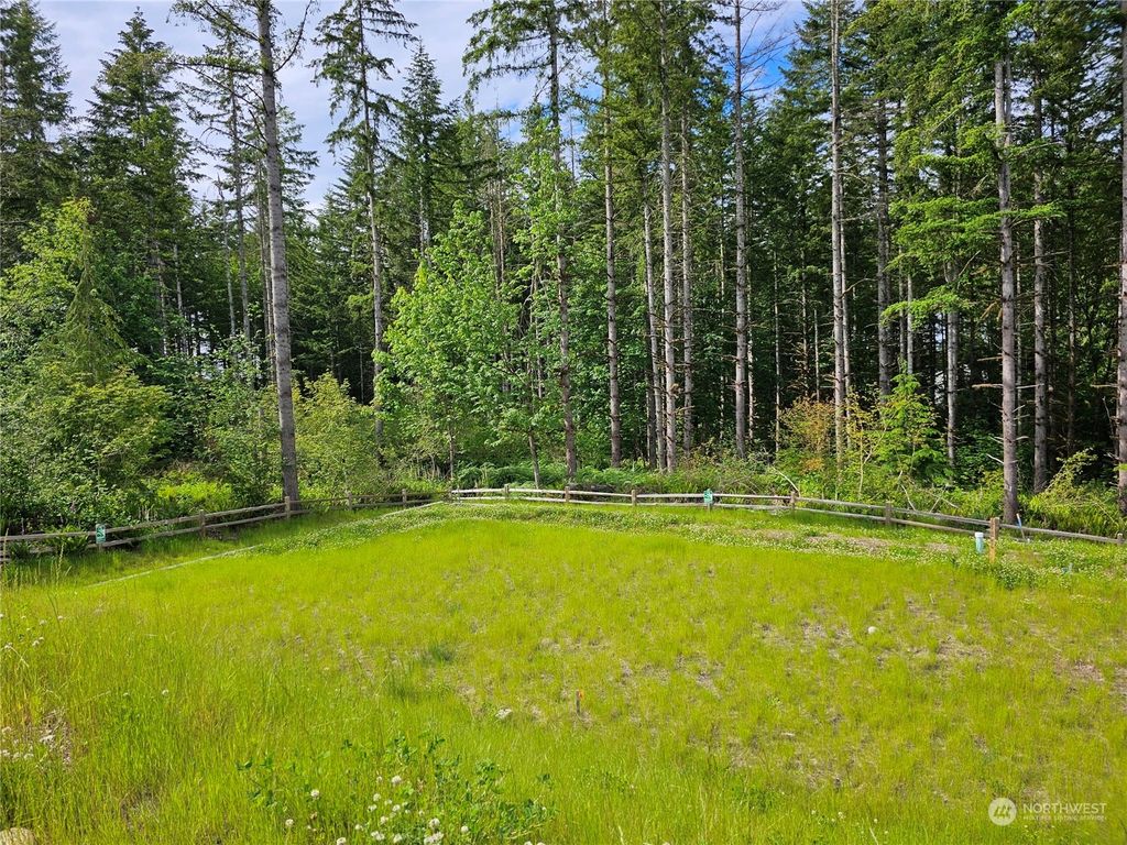 Photo of 23870 Site 192 SE Tamarack Street, Black Diamond, WA 98010 (MLS # 2246290)