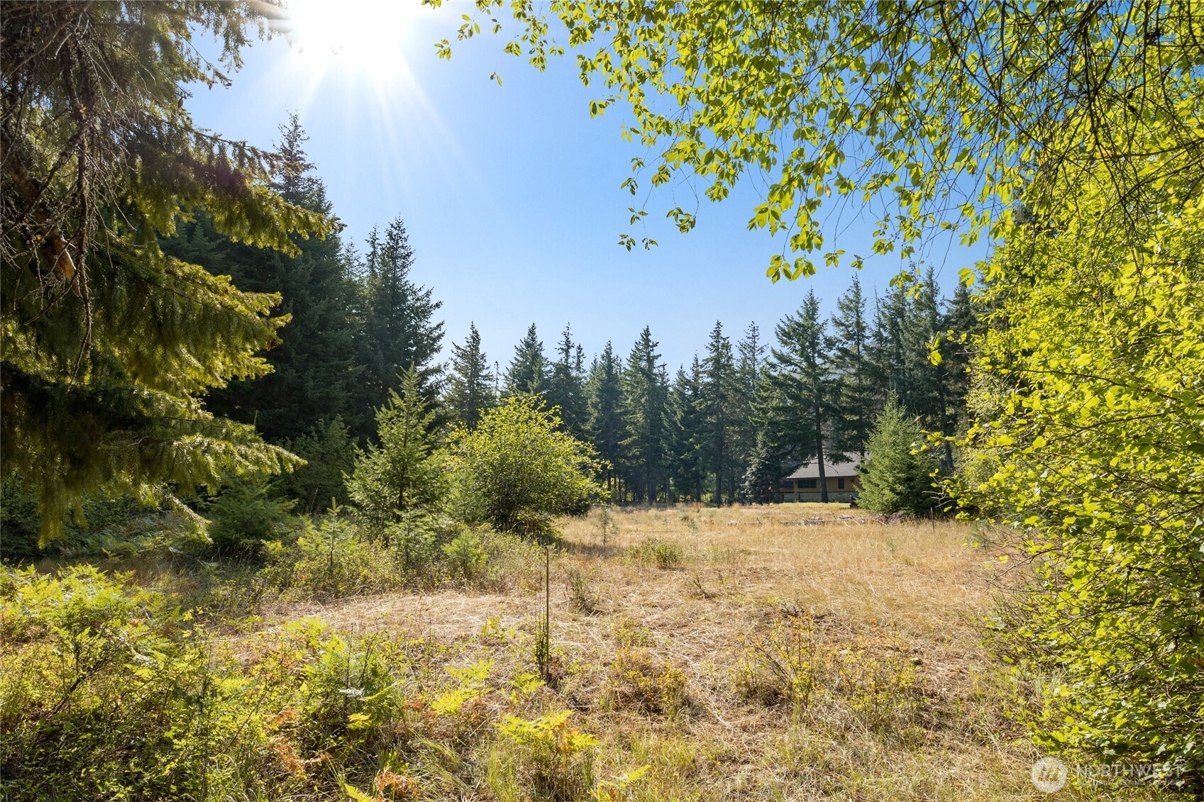 321 Goat Creek Lane