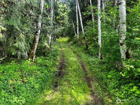293 Zion View Lane Quilcene WA 98376