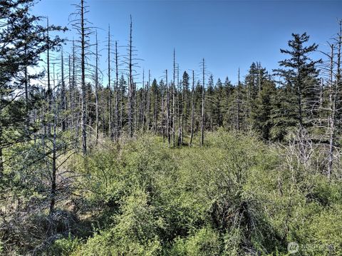 Photo of 1161 NE Toonerville Drive, Belfair, WA 98528 (MLS # 2517822)