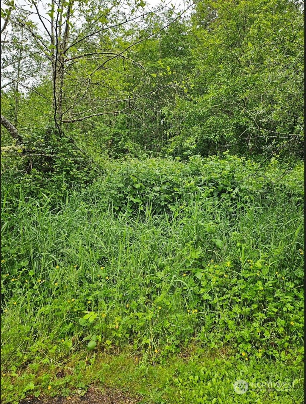 Photo of 18599 SE 136th Street, Renton, WA 98059 (MLS # 2251844)