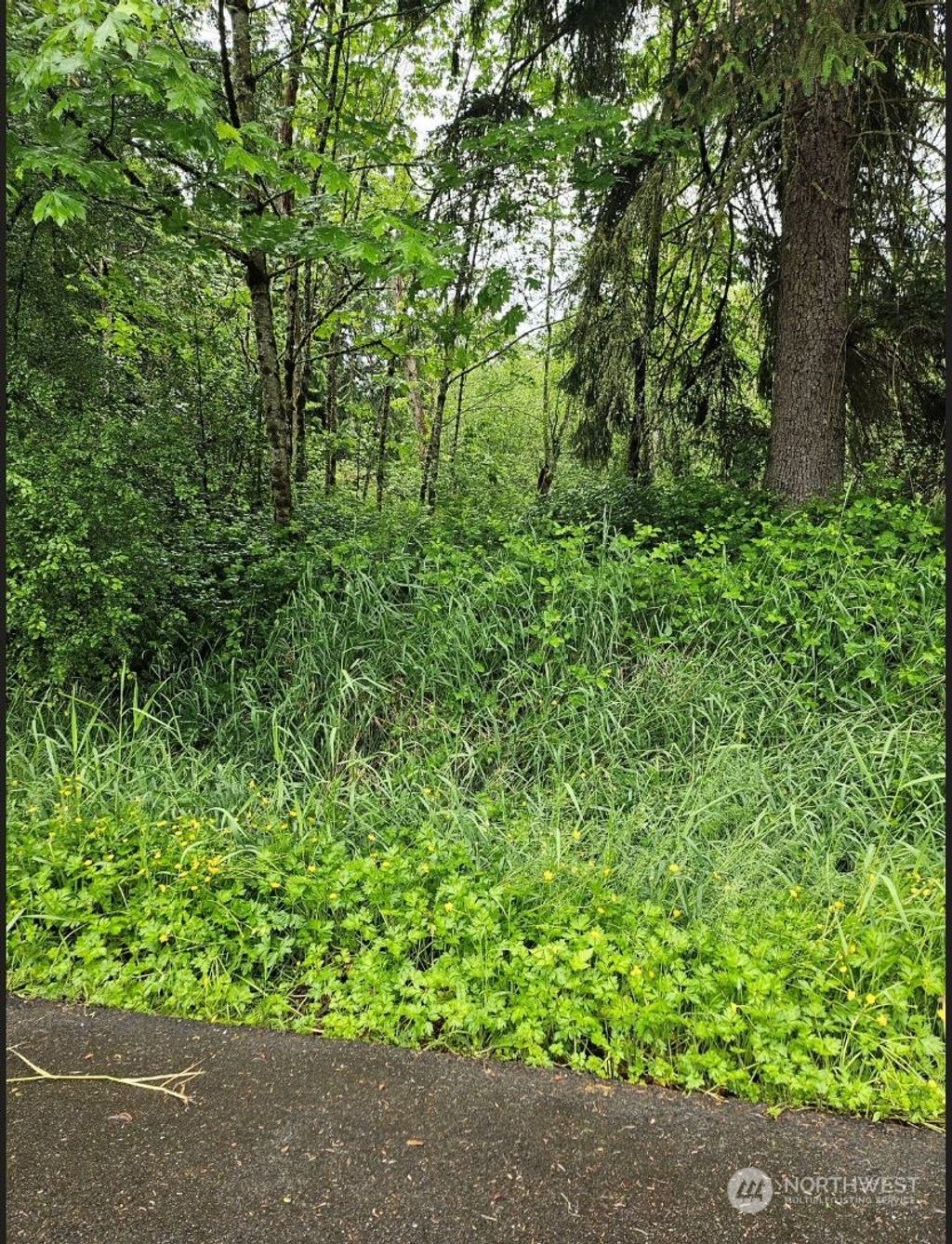 Photo of 18599 SE 136th Street, Renton, WA 98059 (MLS # 2251844)