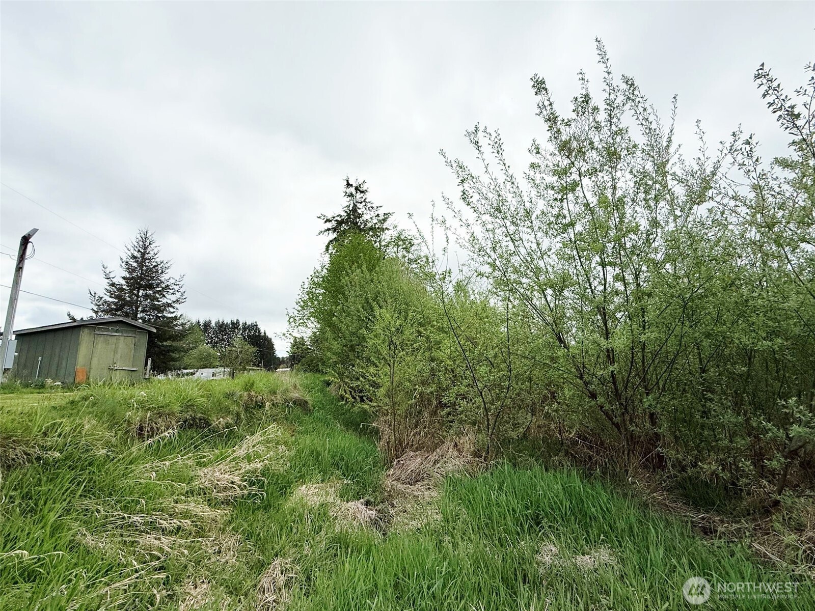 36 Lot # Satsop Riviera Loop