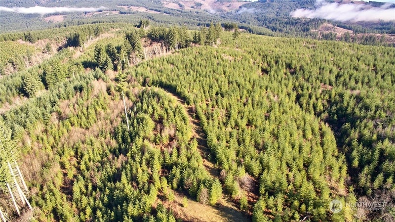 3 NE Jones Creek Road