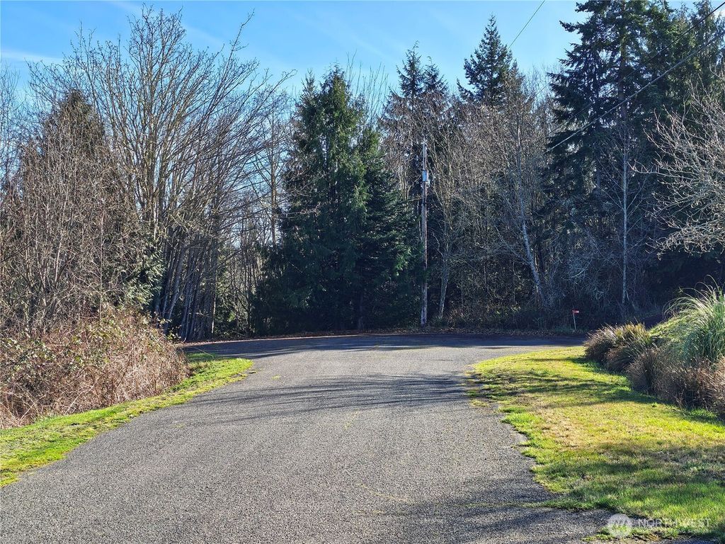 Photo of 0 NKA Lylus LN, Port Hadlock, WA 98339 (MLS # 2489912)