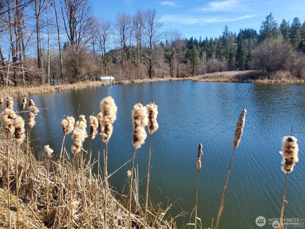 Photo of 400 Three Lakes Road, Cle Elum, WA 98922 (MLS # 2489611)