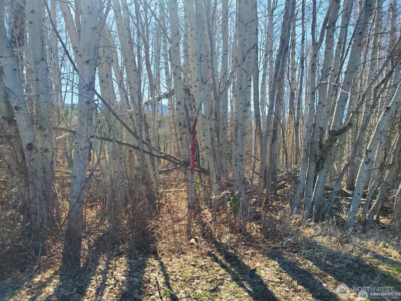 400 Three Lakes Road