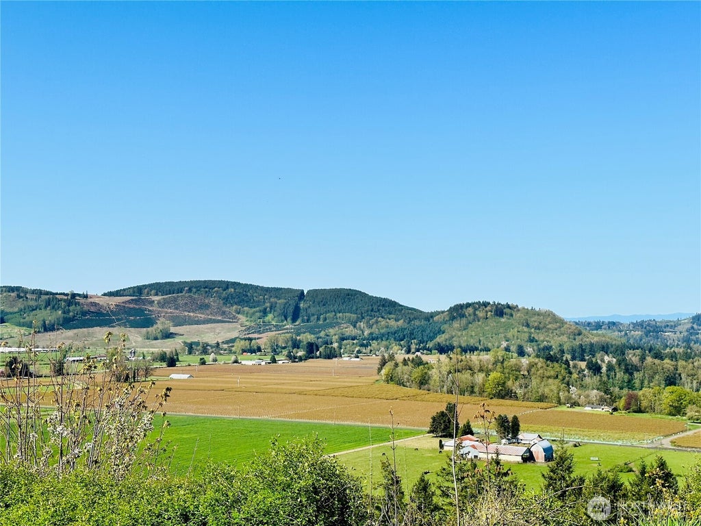 Photo of 295 DeGoede Drive, Mossyrock, WA 98564 (MLS # 2586994)