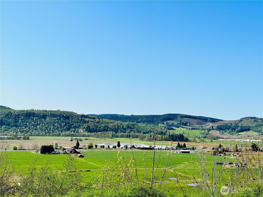 Photo of 295 DeGoede Drive, Mossyrock, WA 98564 (MLS # 2586994)