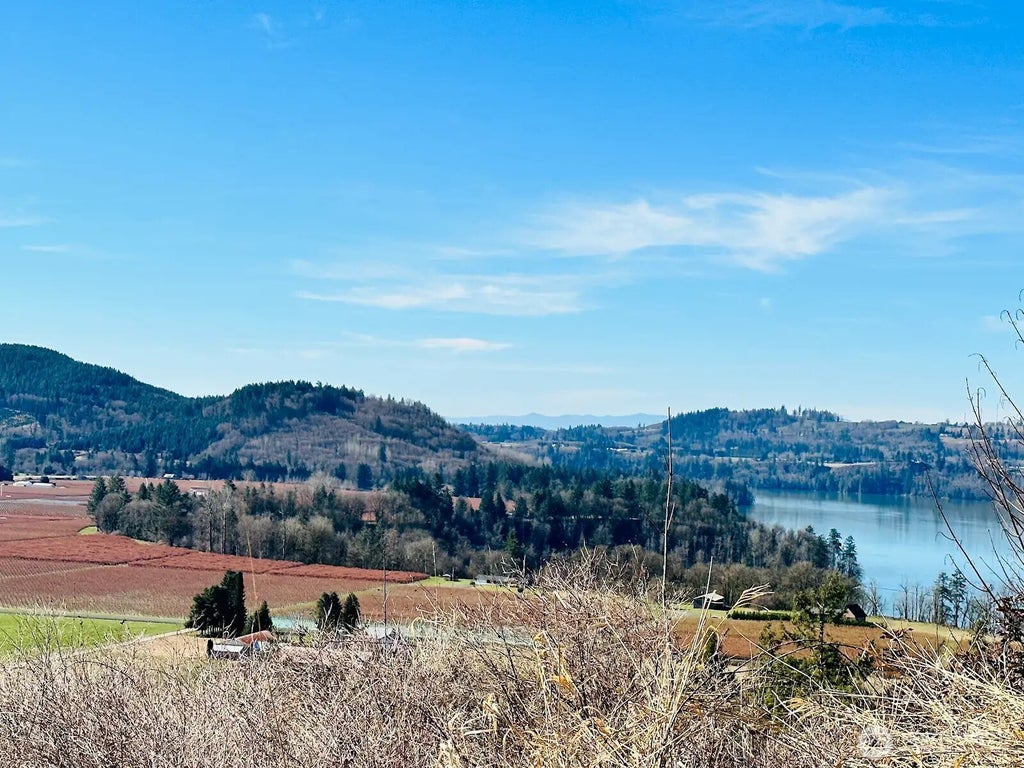 Photo of 295 DeGoede Drive, Mossyrock, WA 98564 (MLS # 2586994)