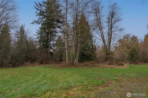 Photo of 245 145th Lane SW, Tenino, WA 98589 (MLS # 2499622)