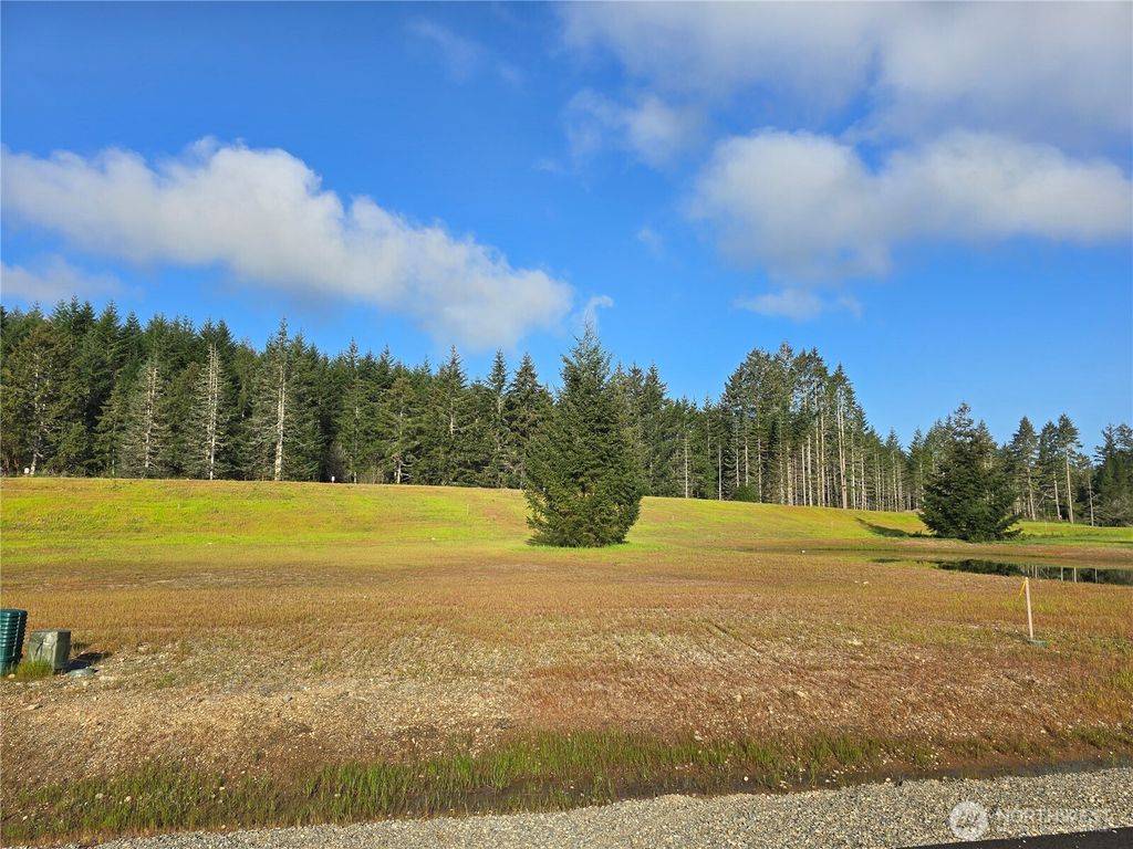 Photo of 91 E Virgil Drive W, Allyn, WA 98524 (MLS # 2513710)