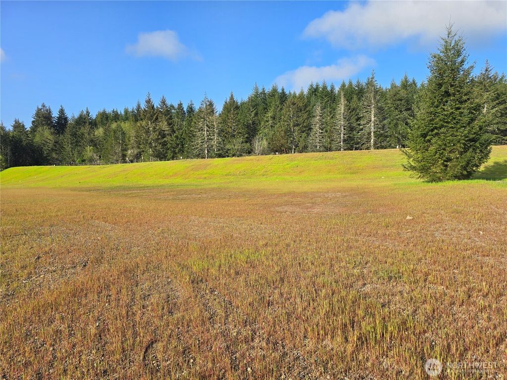Photo of 91 E Virgil Drive W, Allyn, WA 98524 (MLS # 2513710)