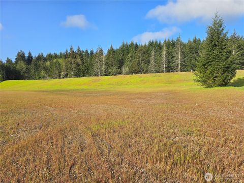 Photo of 91 E Virgil Drive W, Allyn, WA 98524 (MLS # 2513710)