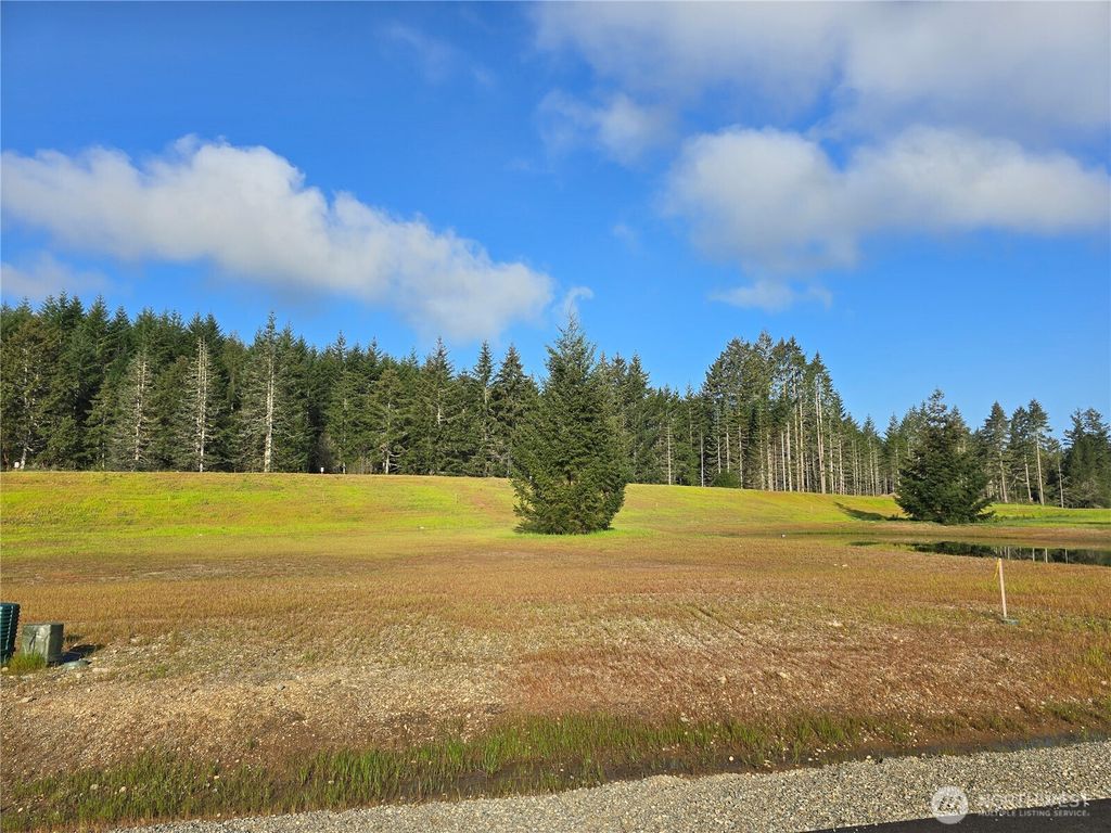 Photo of 91 E Virgil Drive W, Allyn, WA 98524 (MLS # 2513710)