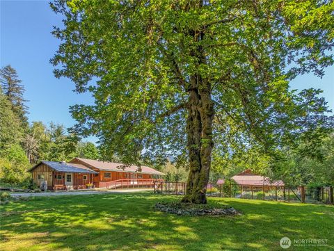 Photo of 37226 St Rt 706 E, Ashford, WA 98304 (MLS # 2384981)
