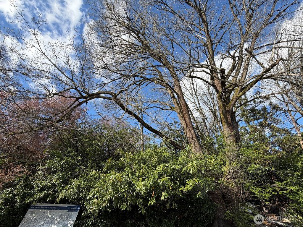 Photo of 5722 35th Avenue S, Seattle, WA 98118 (MLS # 2492698)