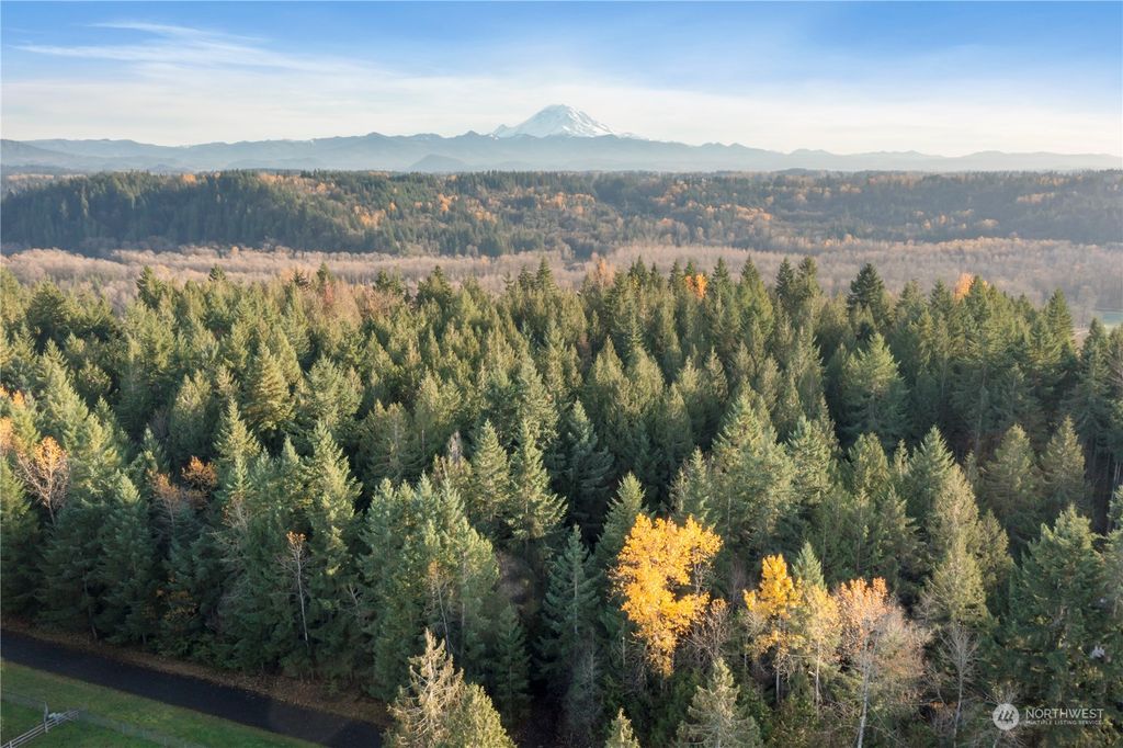 Photo of 18509 SE 346th Street, Auburn, WA 98092 (MLS # 2178634)