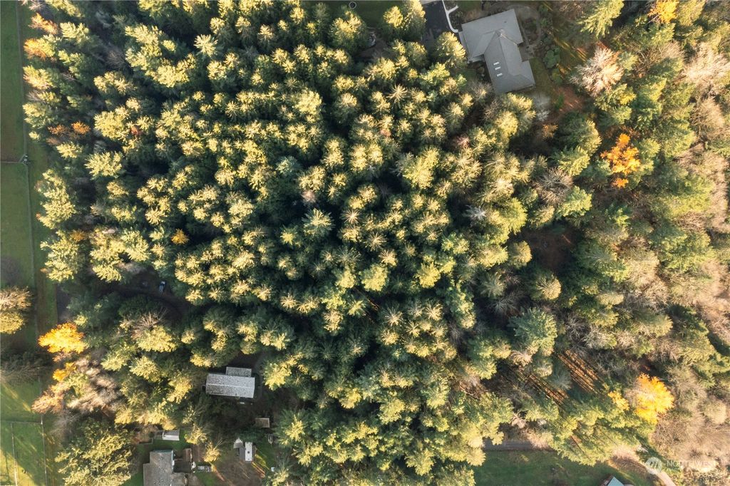 Photo of 18509 SE 346th Street, Auburn, WA 98092 (MLS # 2178634)