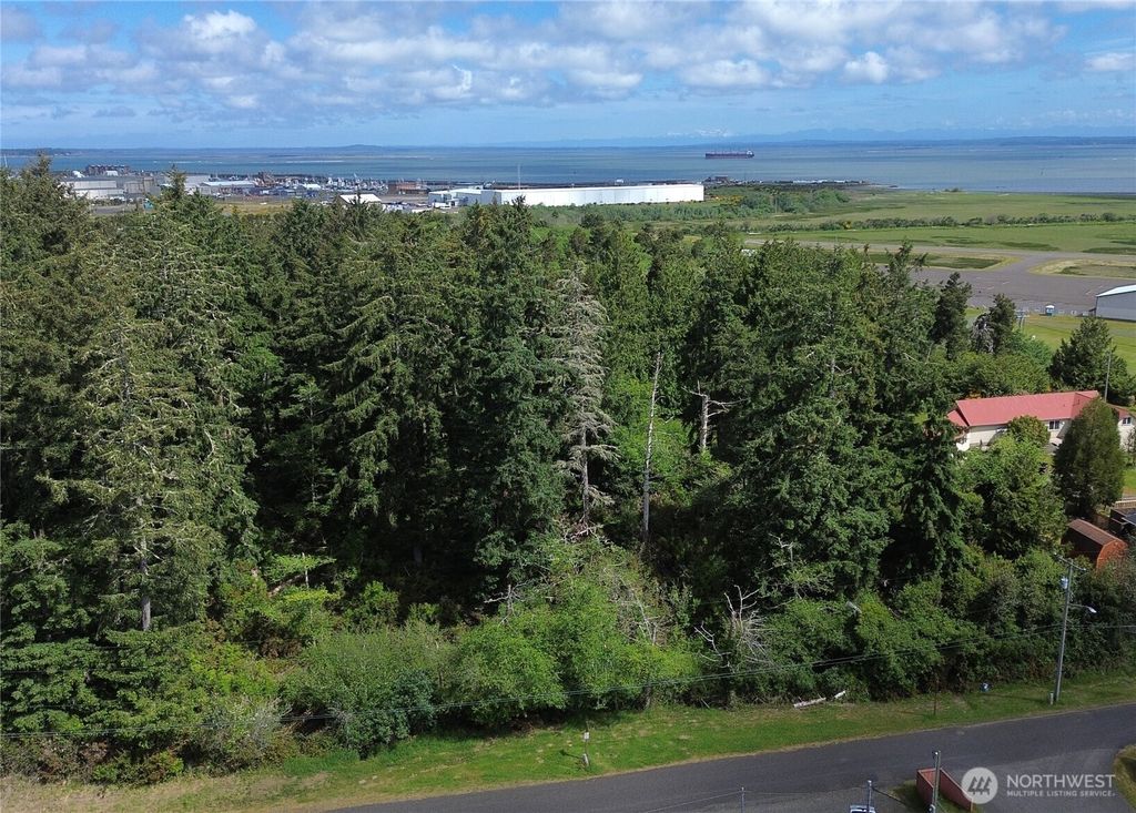 Photo of 0 W Elizabeth Street, Westport, WA 98595 (MLS # 2525927)