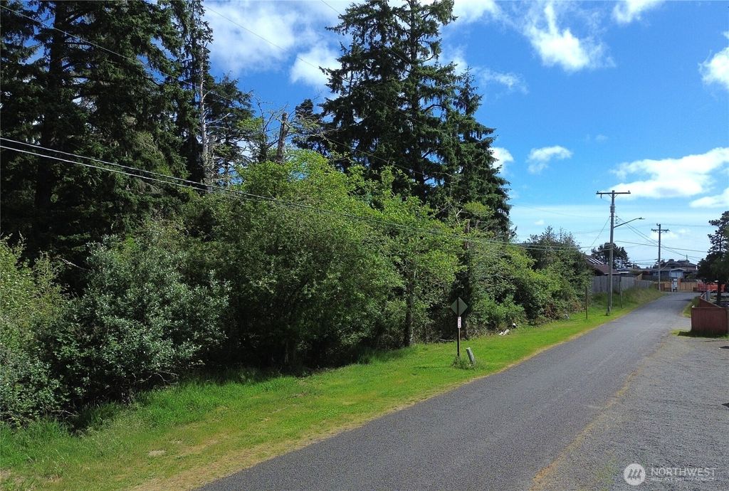 Photo of 0 W Elizabeth Street, Westport, WA 98595 (MLS # 2525927)