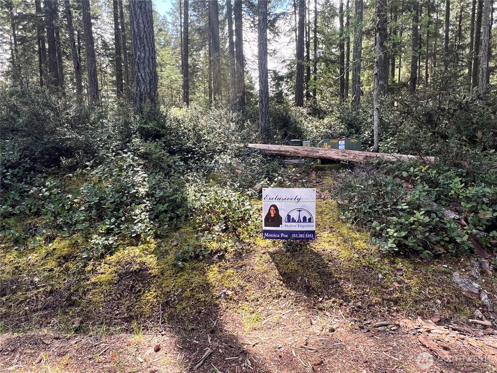 Photo of 380 E Laurel Park, Union, WA 98592 (MLS # 2514276)