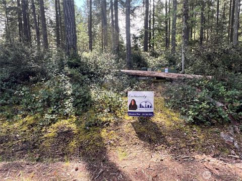 Photo of 380 E Laurel Park, Union, WA 98592 (MLS # 2514276)