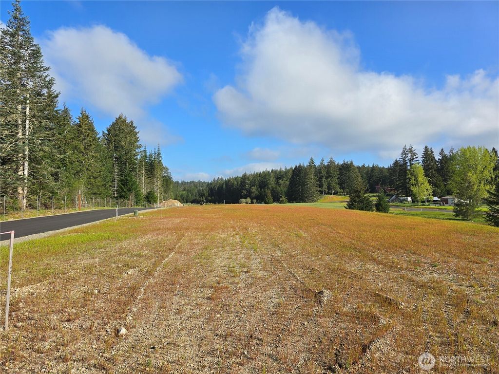 Photo of 0 E Donbob Lane, Allyn, WA 98524 (MLS # 2513722)