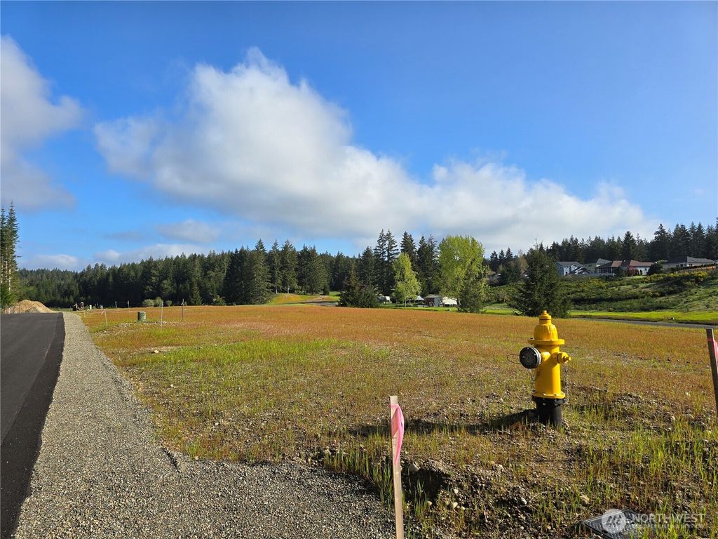 Photo of 0 E Donbob Lane, Allyn, WA 98524 (MLS # 2513722)