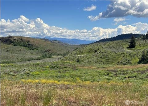 Photo of 0 TBD Ellemeham Mountain Road, Oroville, WA 98844 (MLS # 2539986)