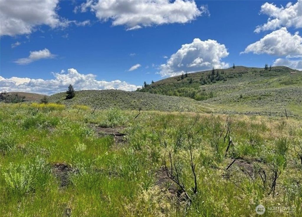 Photo of 0 TBD Ellemeham Mountain Road, Oroville, WA 98844 (MLS # 2539986)