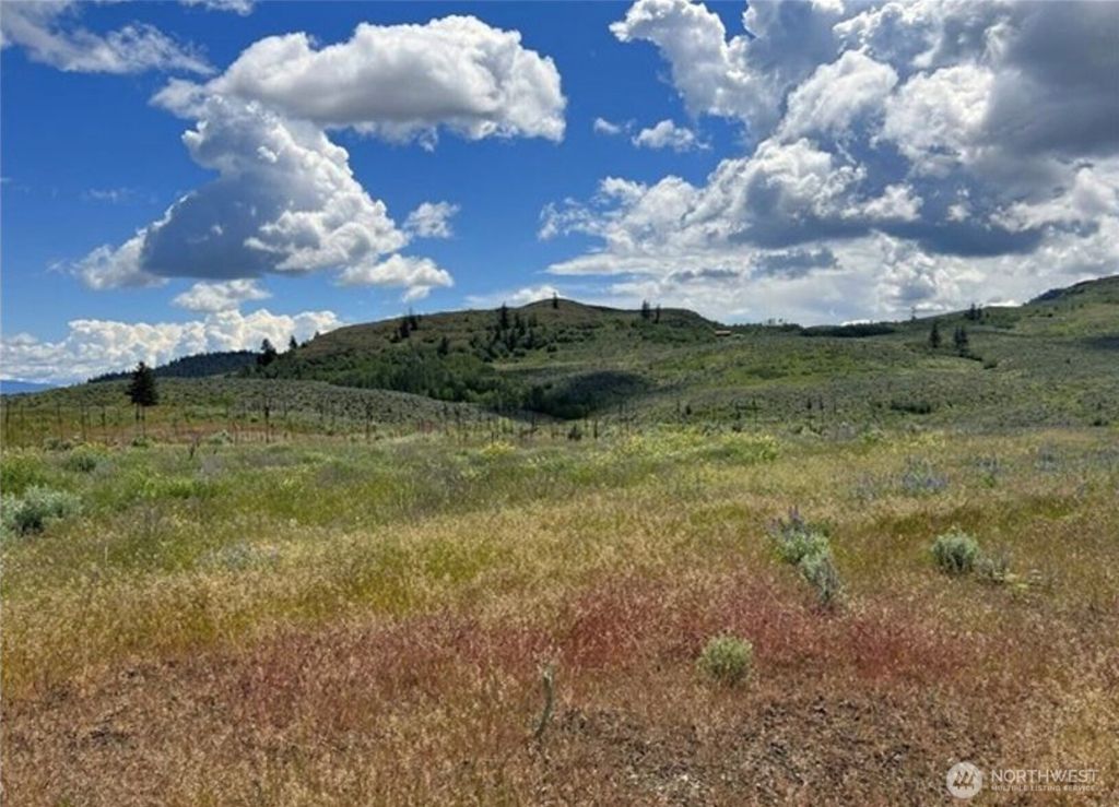 Photo of 0 TBD Ellemeham Mountain Road, Oroville, WA 98844 (MLS # 2539986)