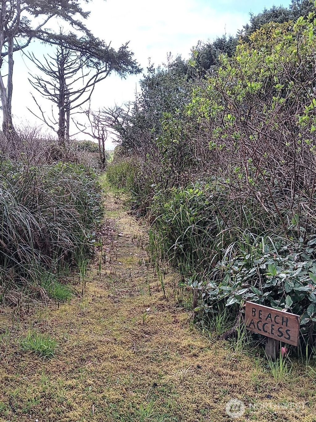 Photo of 4726 Beach Lane, Moclips, WA 98562 (MLS # 2514919)