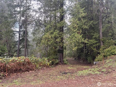 0 Yashi Road Brinnon WA 98320