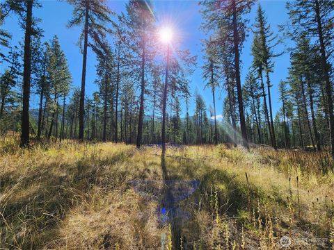 Photo of 0 Sleepy Hollow Road, Curlew, WA 99118 (MLS # 2437500)