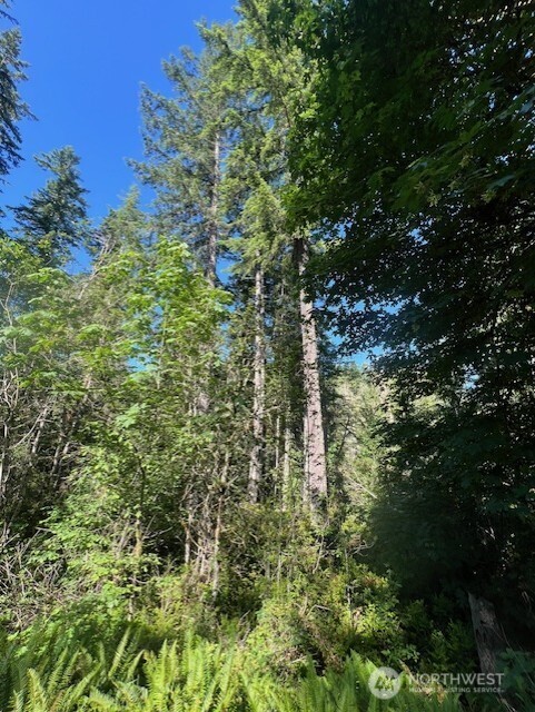 0 NE Tahuya Blacksmith Road