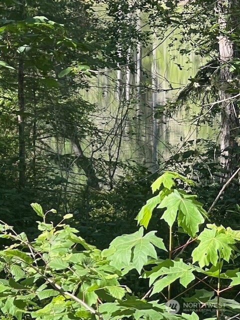 0 NE Tahuya Blacksmith Road