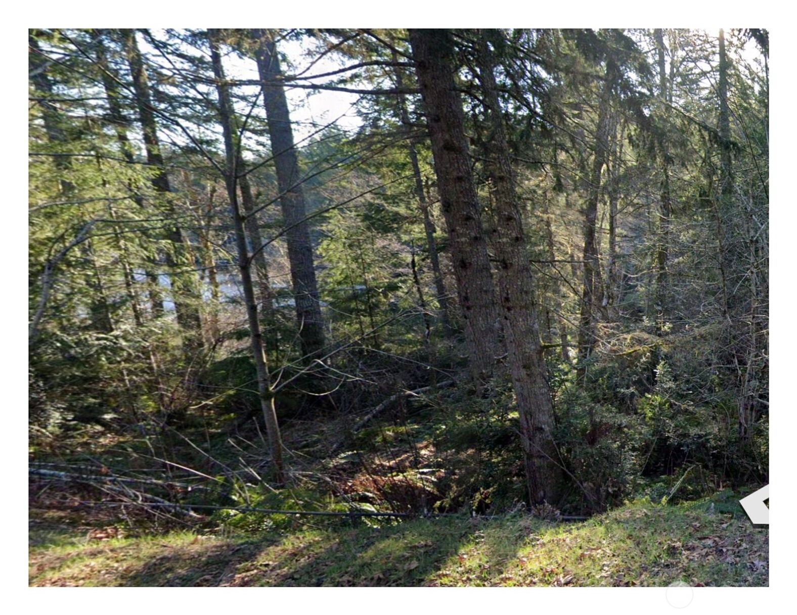 0 NE Tahuya Blacksmith Road