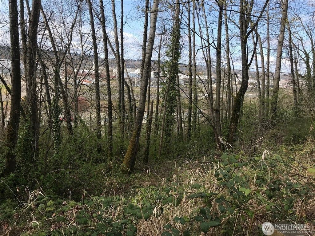 Photo of 9419 Leroy Place S, Seattle, WA 98118 (MLS # 2421762)