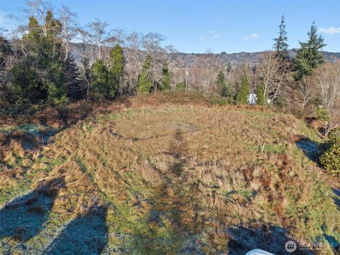 Photo of 0 X Pacific Avenue, Raymond, WA 98577 (MLS # 2470491)