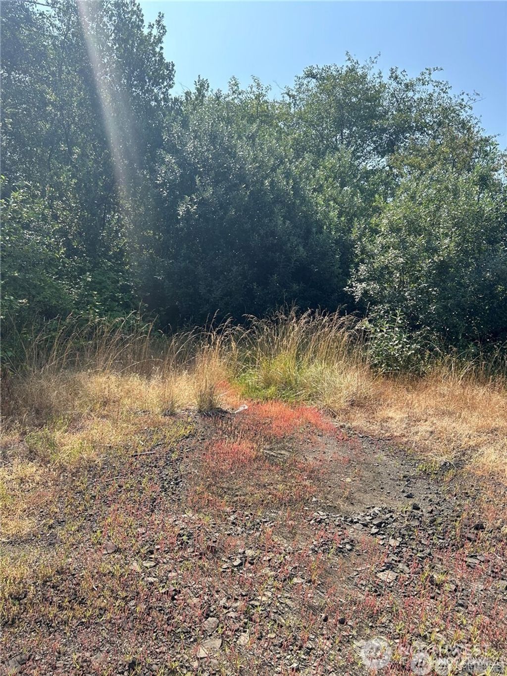 Photo of 0 XXX Hwy 101, Raymond, WA 98567 (MLS # 2480560)