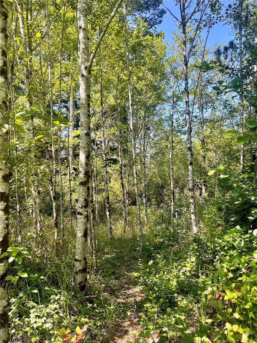 Photo of 272 XX W 272 XX Lane, Ocean Park, WA 98640 (MLS # 2595570)